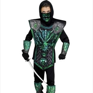 Halloween costume dragon ninja